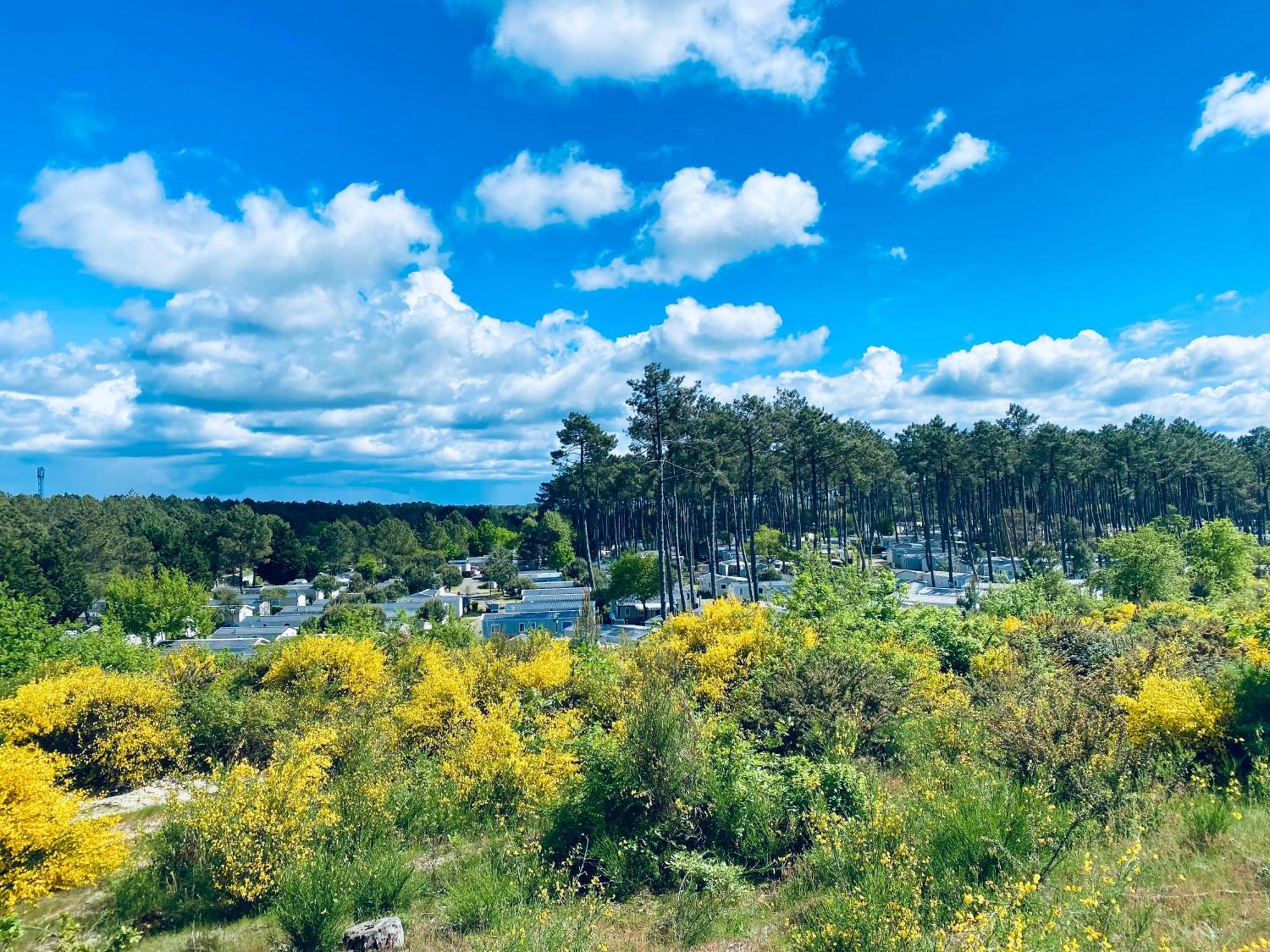 Mobile Home - Les Dunes De Contis Saint-Julien-en-Born Dış mekan fotoğraf