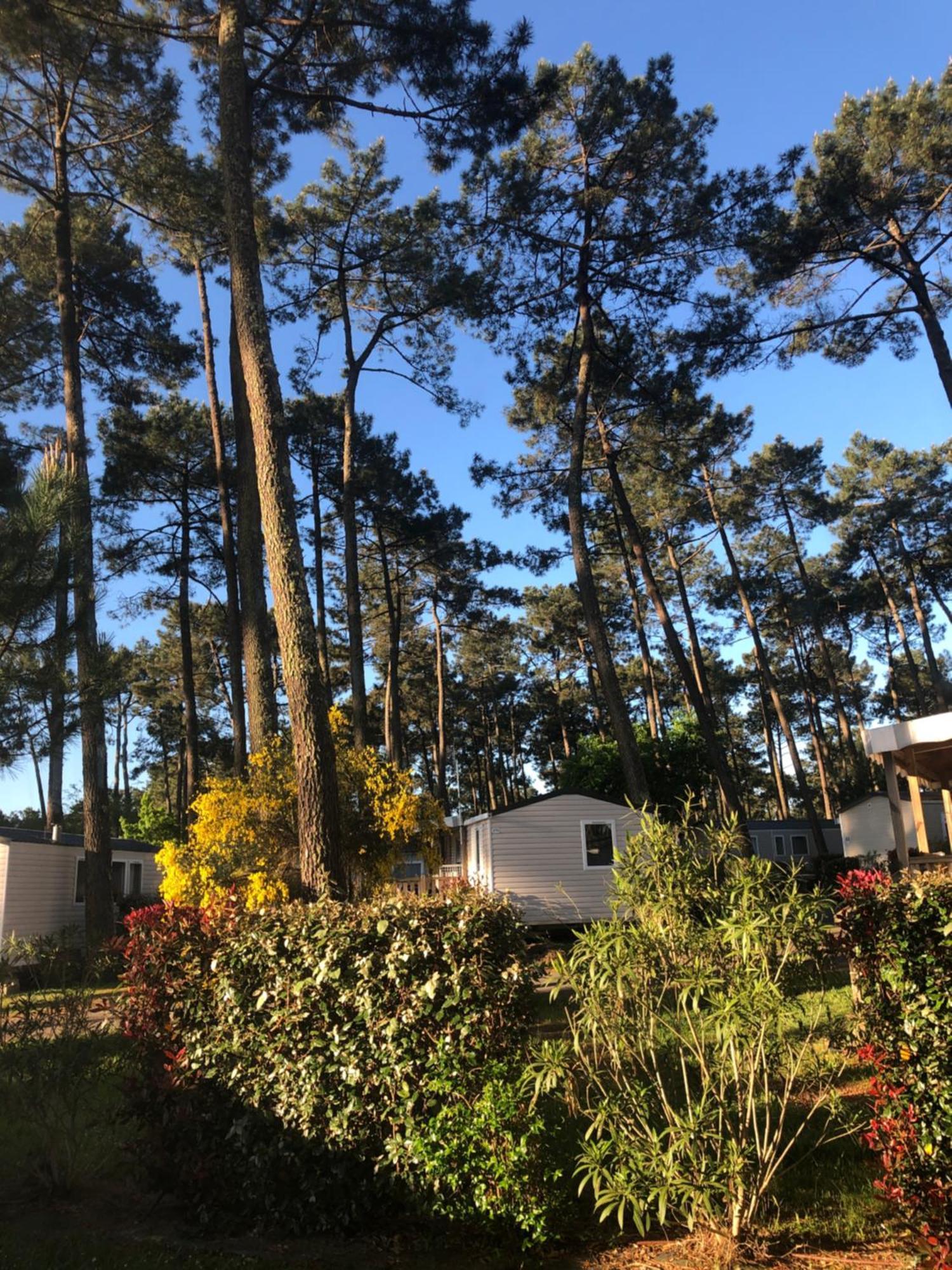 Mobile Home - Les Dunes De Contis Saint-Julien-en-Born Dış mekan fotoğraf